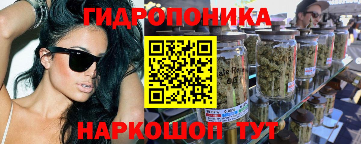Конопля конопля  Конопля ГИДРОПОН  Каннабис конопля  Коряжма  Шишки марихуана конопля  Вход с VPN 